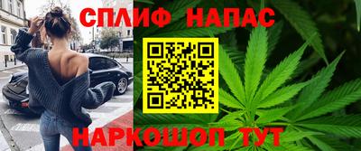 гашик Кунгур