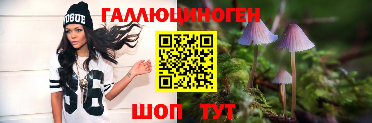 Галлюциногенные грибы MAGIC MUSHROOMS  Вход с VPN  Касимов  Галлюциногенные грибы Psilocybe 